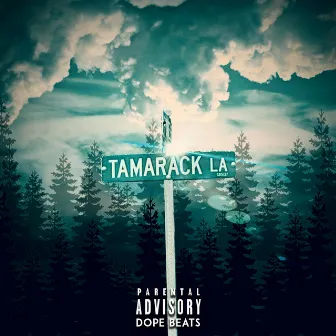 Tamarack Lane by Poe Mack