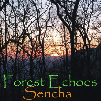 Forest Echoes by Sencha