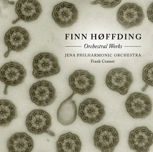 Finn Hoffding