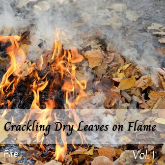 Fire: Crackling Dry Leaves on Flame Vol. 1 by amazing Spa Experience