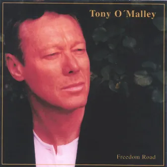 Freedom Road by Tony O'Malley