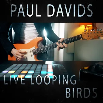 Birds (Live Looping) by Paul Davids