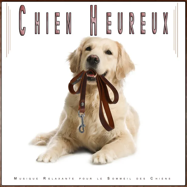 Chien Heureux : Musique Relaxante pour le Sommeil des Chiens