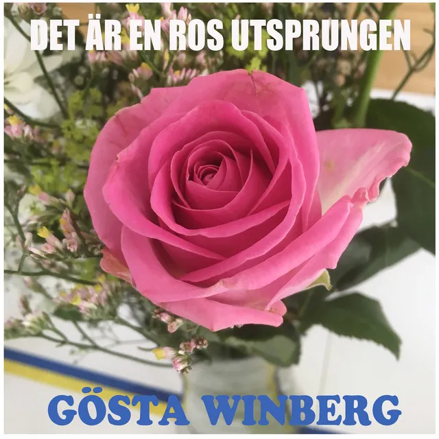 Det är en ros utsprungen