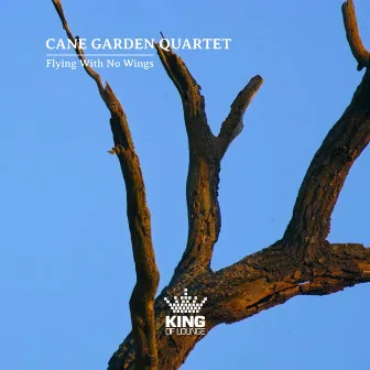 Flying with no Wings by Cane Garden Quartet