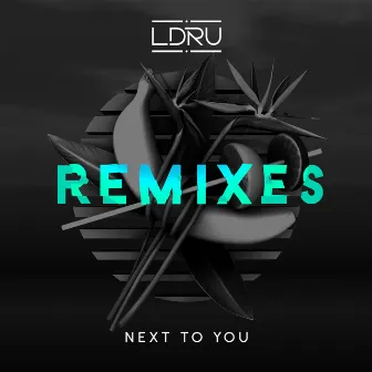 Next To You (Remixes) (feat. Savoi) by L D R U