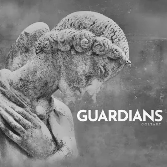 Guardians by Steven Coltart