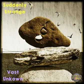 Vast Unkwown by Suddenly Strange