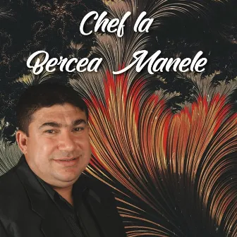 Chef la Bercea Manele by Ștefan de la Bărbulești