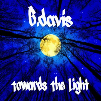 Towards The Light by B. Davis