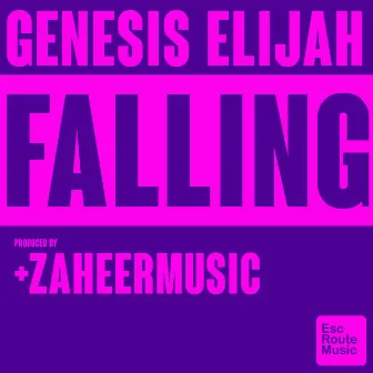 Falling by Zaheer