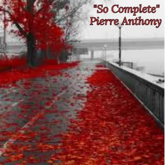 So Complete by Pierre Anthony