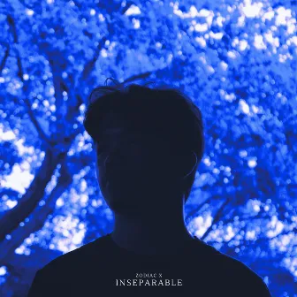 Inseparable by Zodiac X