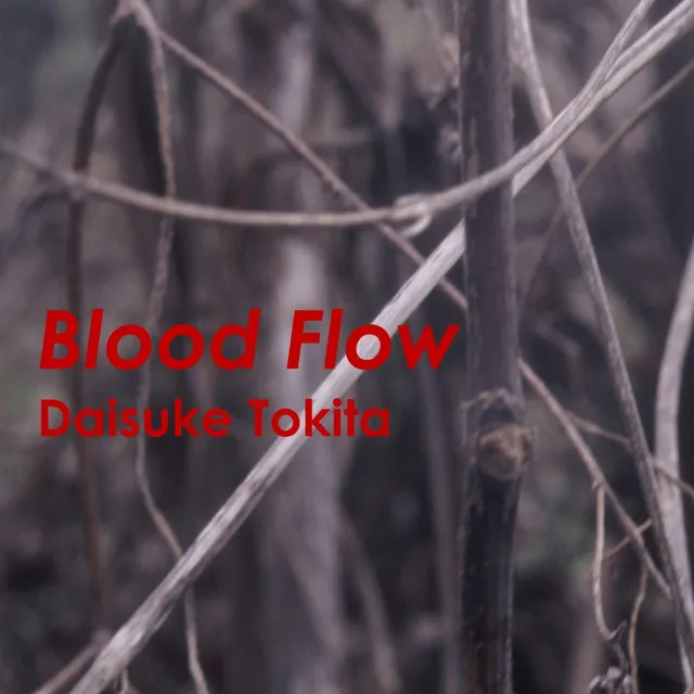 Blood Flows