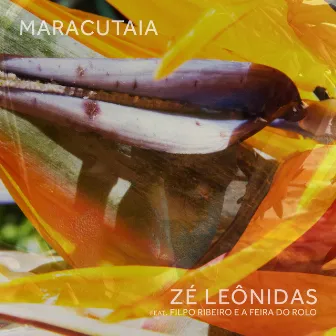 Maracutaia by Zé Leônidas