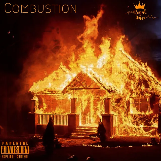 Combustion