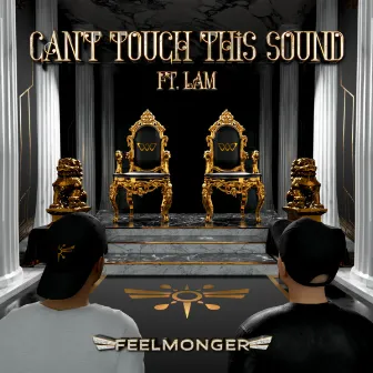 Can't Touch This Sound by Feelmonger