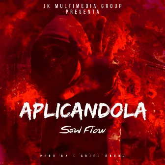 Aplicandola by Saul Flow