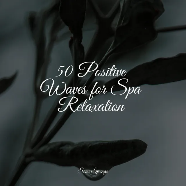 50 Positive Waves for Spa Relaxation