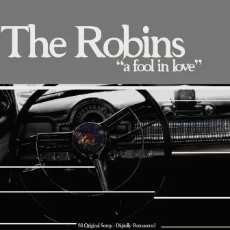 A Fool in Love by The Robins