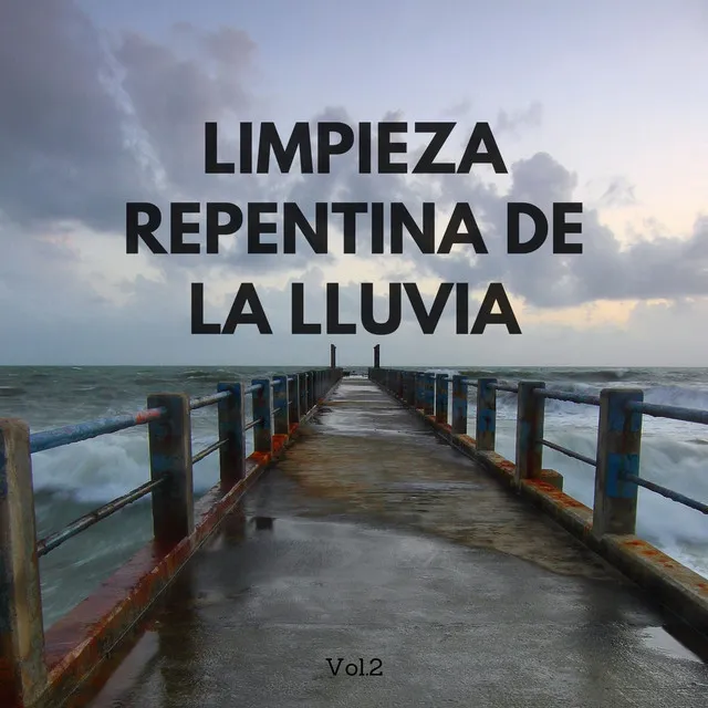 Limpieza Repentina De La Lluvia Vol.2