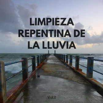 Limpieza Repentina De La Lluvia Vol.2 by Fábrica de Sonidos de Lluvia STHLM