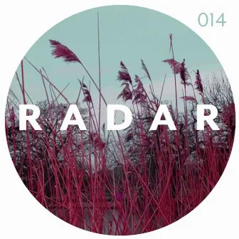 Radar: Folk by David Gerard Lawrence