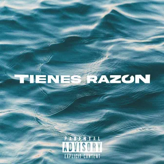 Tienes Razón by Gaberson