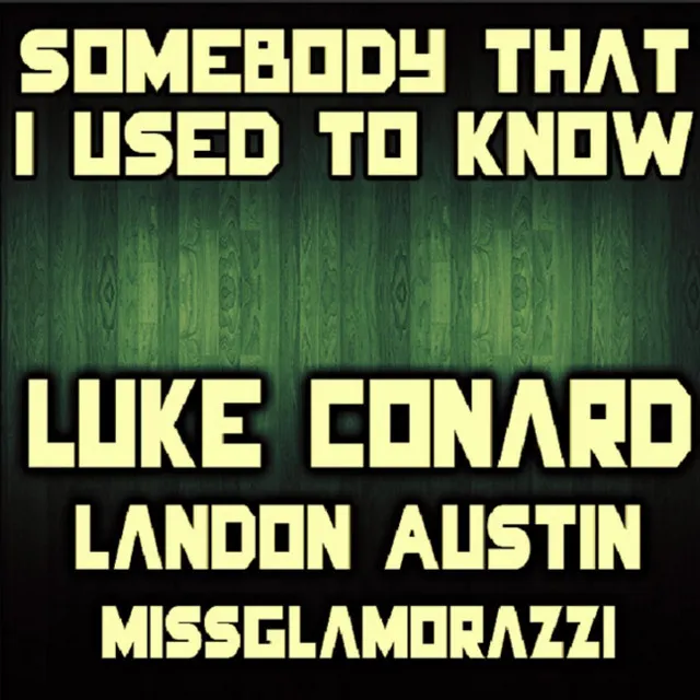 Someone That I Used to Know (feat. Landon Austin & Missglamorazzi)