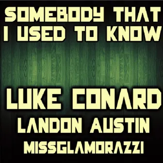 Someone That I Used to Know (feat. Landon Austin & Missglamorazzi) - Single by Luke Conard