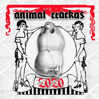 2020 by Animal Crackas