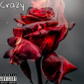 Crazy by ONOJayy