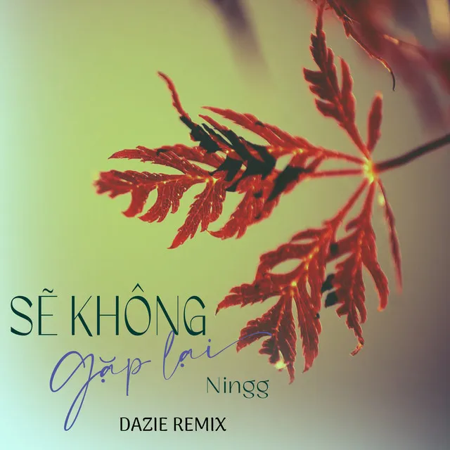 Sẽ Không Gặp Lại (Dazie Remix)