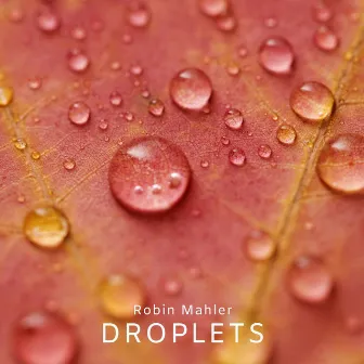 Droplets by Robin Mahler