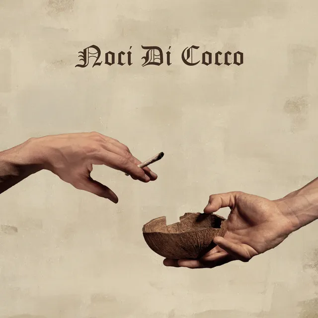 Noci di cocco