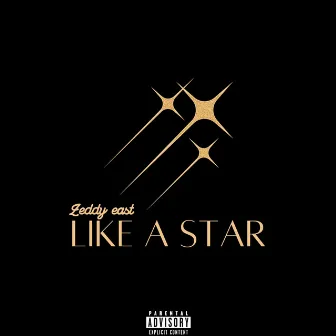 Like a Star by Zeddy East