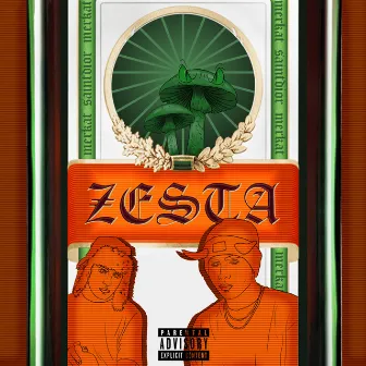 zesta by merkat