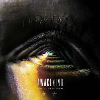 Awakening by Zack Sarkissian