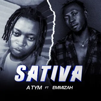 Sativa by Unknown Artist