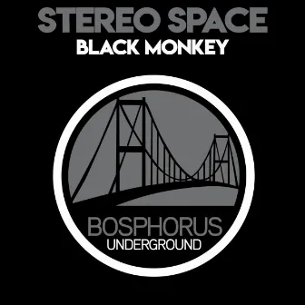 Black Monkey by StereoSpace