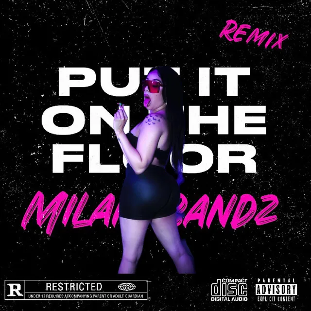 Put It On Da Floor (Remix)