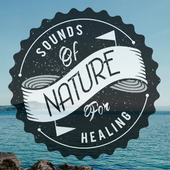 Sounds of Nature for Healing by Unknown Artist