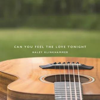 Can You Feel the Love Tonight by Haley Klinkhammer