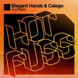 Acid Night by Elegant Hands