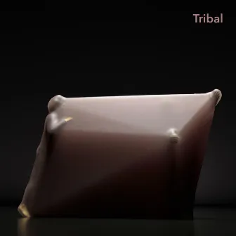 Tribal, Selected by Universal Everything by Freeform