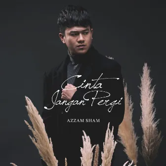 Cinta Jangan Pergi by Azzam Sham