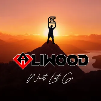 Won't Let Go by Aliwood