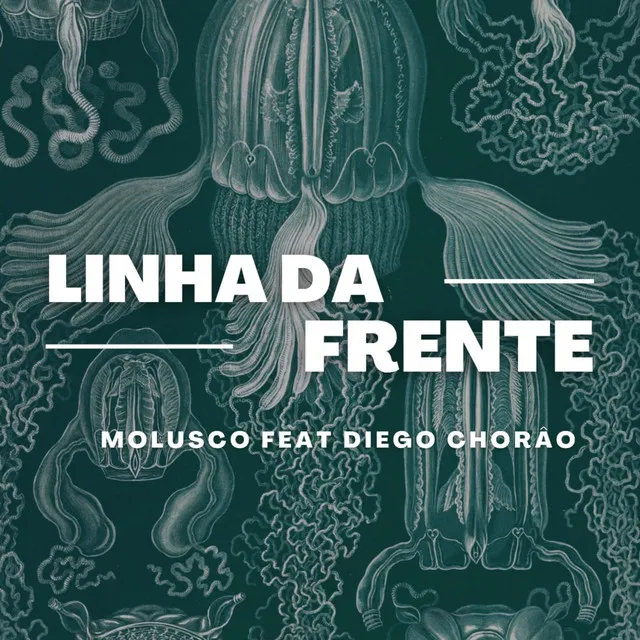 Linha da Frente