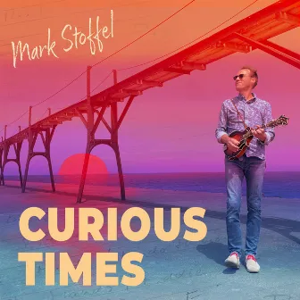 Curious Times by Mark Stoffel