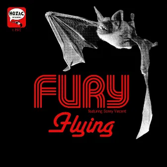 Flying by Fury